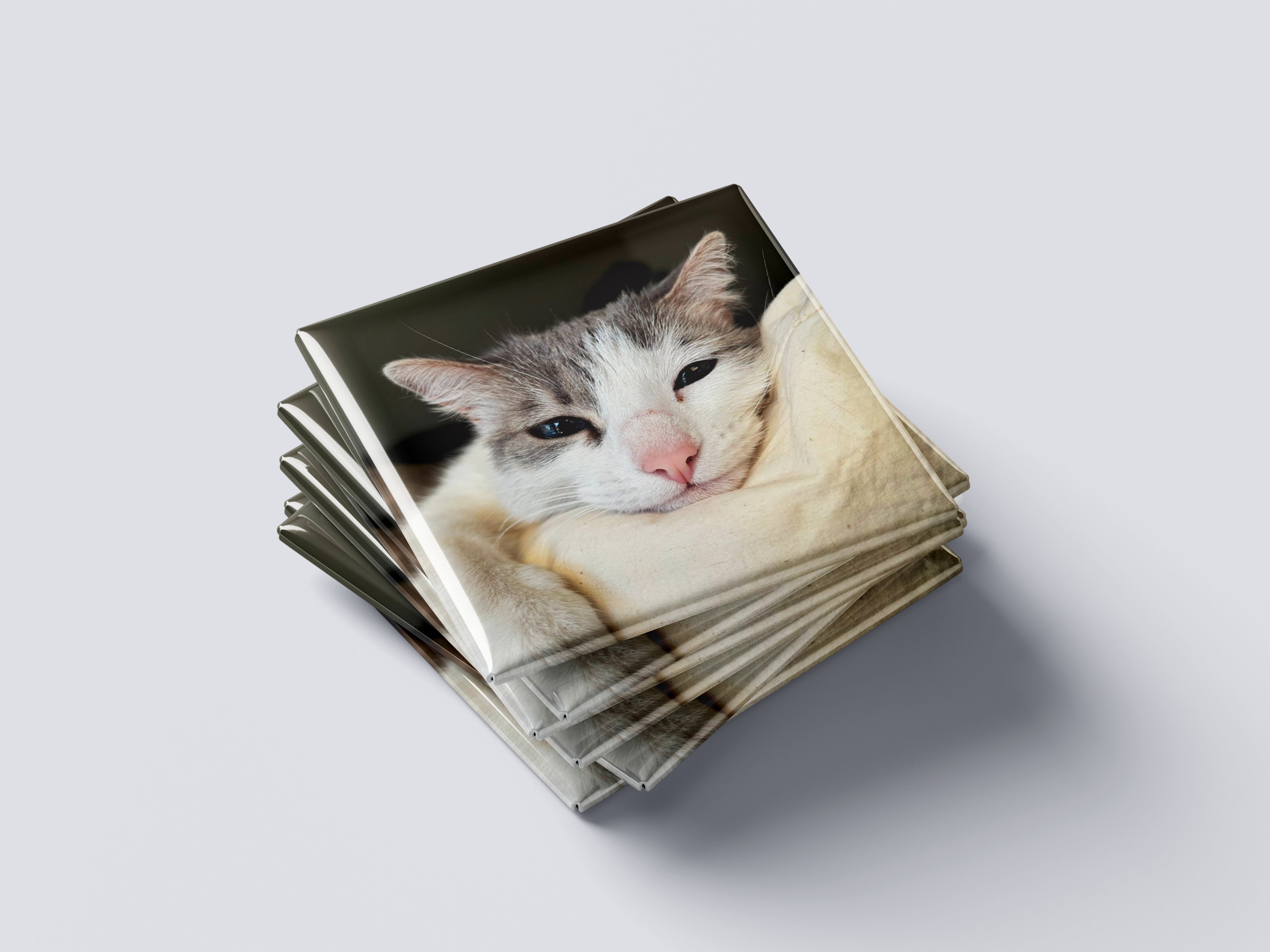 Magnetos con tus fotos